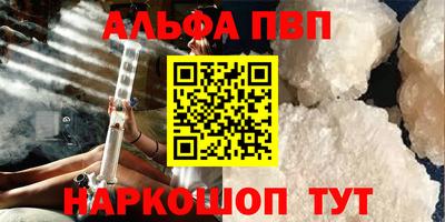шишки Дубна
