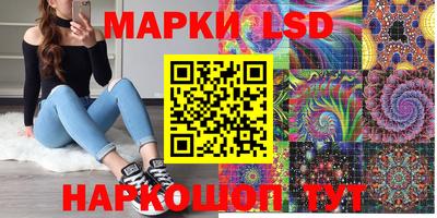 шишки Дубна