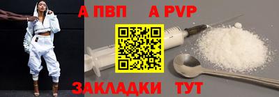 шишки Дубна