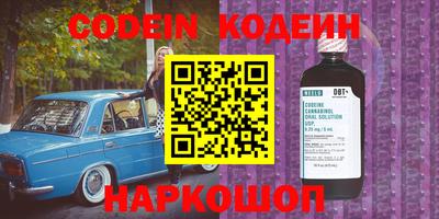 шишки Дубна